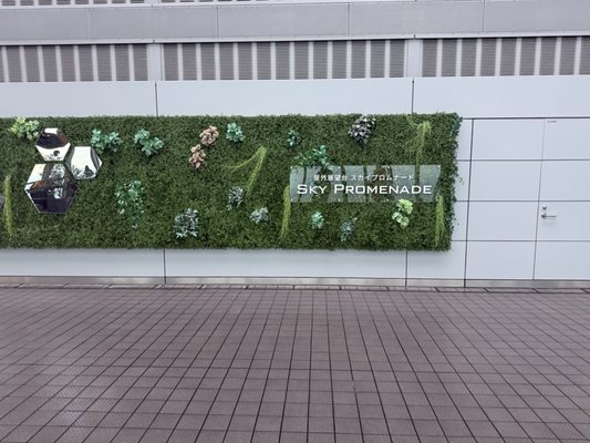 Sky Promenade by null