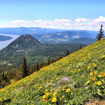 Dog Mountain Trail - Hiking Near Me - White Salmon, Washington Dog Mountain Trail - Hiking Near Me - White Salmon, Washington