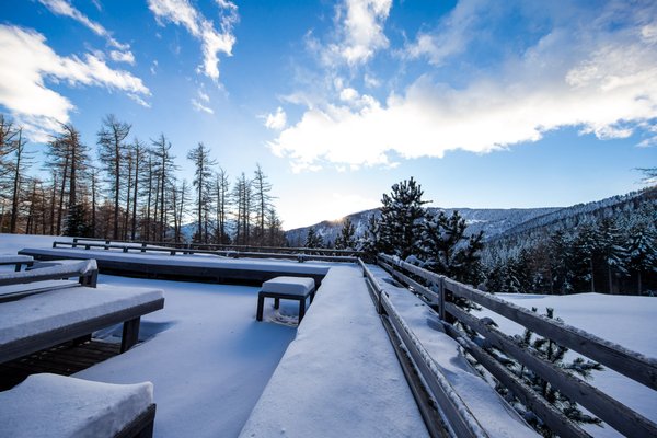 Vigilius Mountain Resort by null