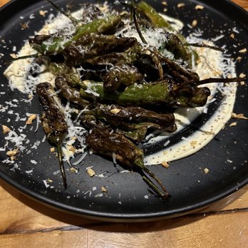 Fahrenheit 132 - Shishito Peppers - Steakhouses Near Me - Fredericksburg, Virginia Fahrenheit 132 - Shishito Peppers - Steakhouses Near Me - Fredericksburg, Virginia