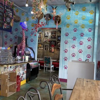 Professor Perk's - Themed Cafes Near Me - Fort Lauderdale, Florida Professor Perk's - Themed Cafes Near Me - Fort Lauderdale, Florida