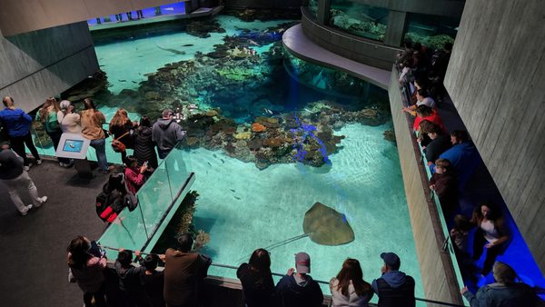 National Aquarium by null