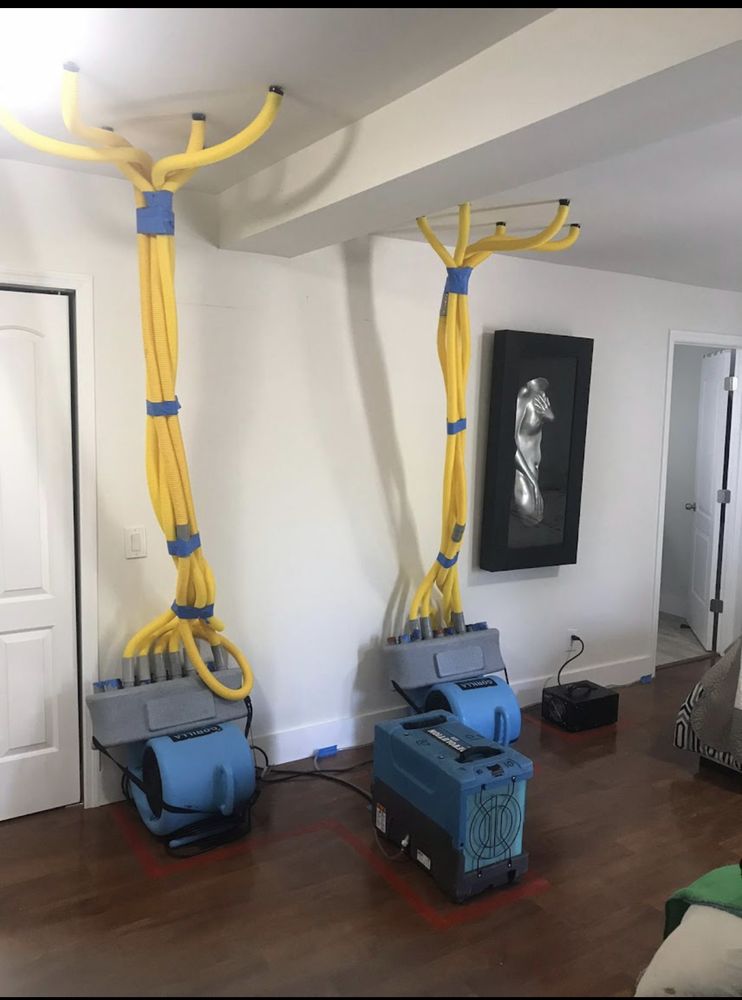 Slide of HomeGreen Group