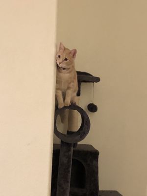 Clark County Health District