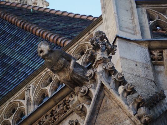 St. Stephen's Cathedral by null