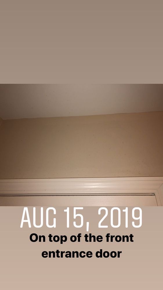 ELMINGTON PROPERTY MANAGEMENT 14 Photos & 14 Reviews 118 16th Ave S