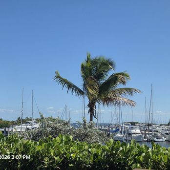 Regatta Grove - Cocktail Bars Near Me - Miami, Florida
