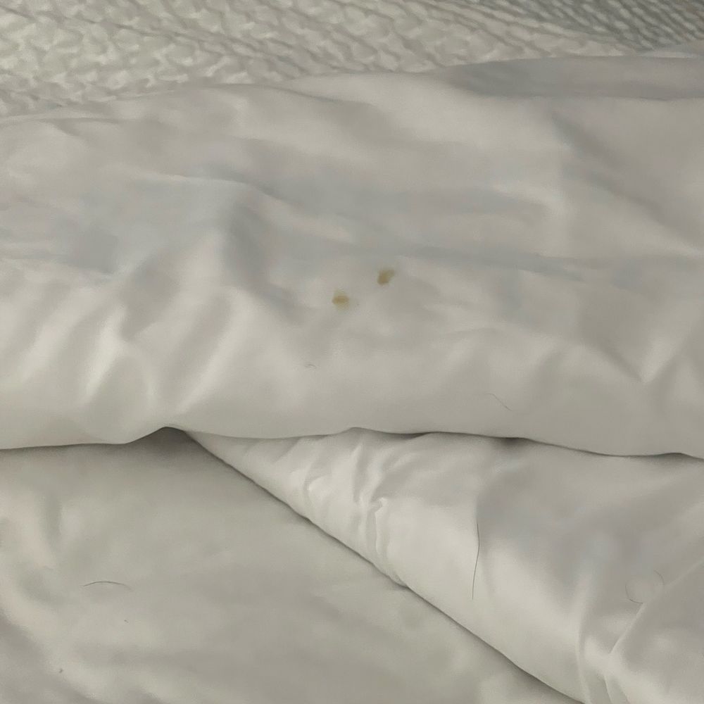 Staybridge Suites Denver Tech Center - Blood droplet - Hotels Near Me - Centennial, Colorado
