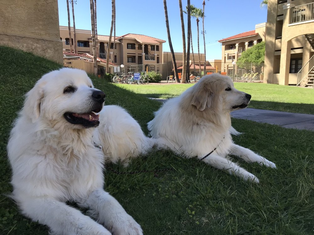 KAIBAB VETERINARY CLINIC Updated July 2024 35 Photos & 65 Reviews