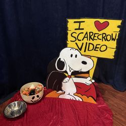 Scarecrow Video