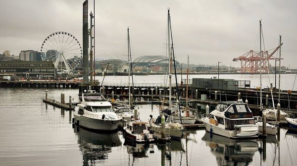 Anthony's Pier 66 & Bell Street Diner by null