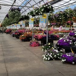 Koetsier's Greenhouse