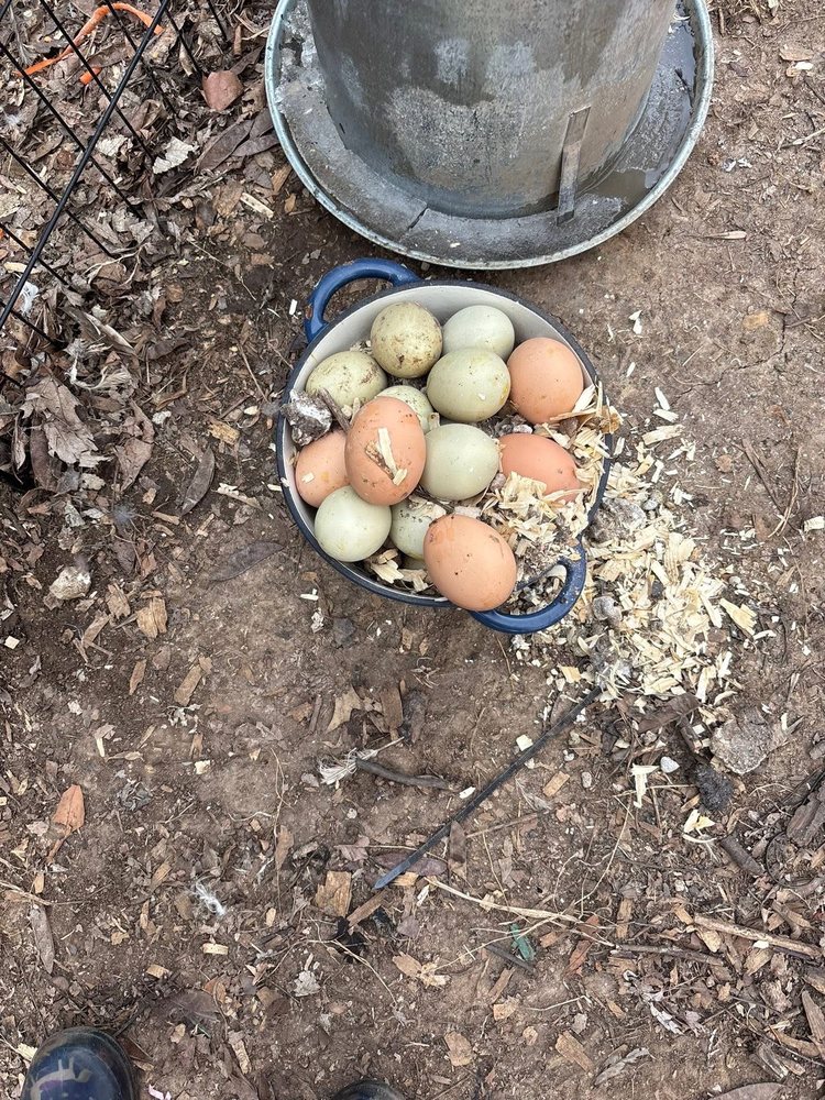 Wildblossom Schoolhouse - childcare center in Lawrence, KS