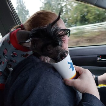 Dutch Bros Coffee - Coffee & Tea Near Me - Sweet Home, Oregon
