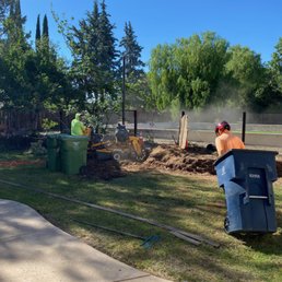 Stump and root grinding