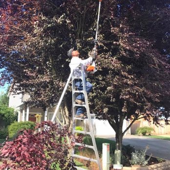 Galan Landscaping - Trimming - Landscaping Near Me - Vancouver, Washington Galan Landscaping - Trimming - Landscaping Near Me - Vancouver, Washington