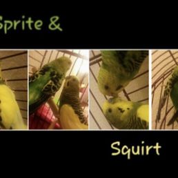 My cuties! My cuties!