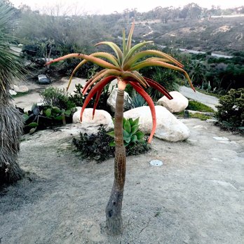 Desert Garden - Parks Near Me - San Diego, California