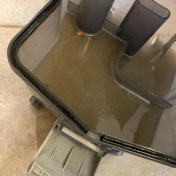 Zerorez - San Antonio - 3 days later after "Cleaning". this is residential hoover carper cleaner after "professional equipment" - Carpet Cleaning Near Me - San Antonio, Texas