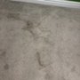 Rino Carpet Cleaning