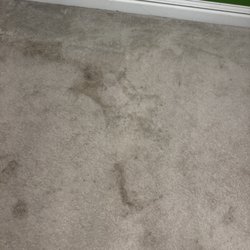 Rino Carpet Cleaning - Stains that we've removed.