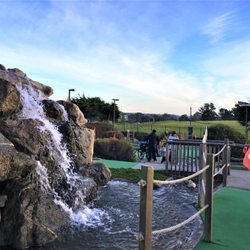 Emerald Dolphin Mini Golf