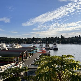 Agua Verde Cafe - Water front - Mexican Near Me - Seattle, Washington
