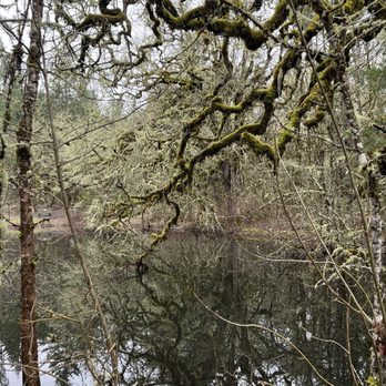 William L. Finley Wildlife Refuge - Parks Near Me - Monroe, Oregon William L. Finley Wildlife Refuge - Parks Near Me - Monroe, Oregon