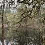 Photo of William L. Finley Wildlife Refuge