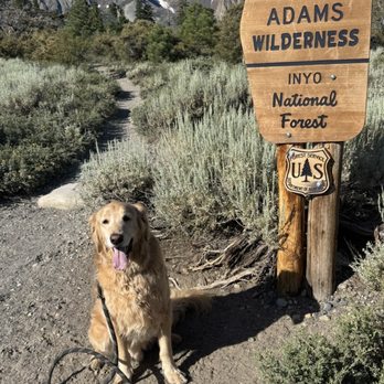 Parker Lake Trail - Hiking Near Me - June Lake, California
