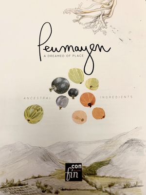 Peumayén Ancestral Food by null