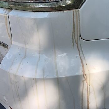Mike's Affordable Auto Repair - Auto Repair Near Me - Kenneth City, Florida Mike's Affordable Auto Repair - Auto Repair Near Me - Kenneth City, Florida