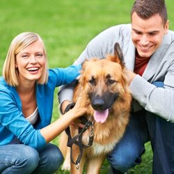 Pleasantville Animal Hospital of Fallston