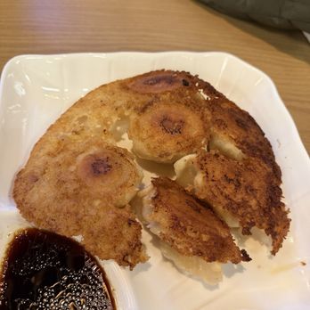 Shanghai Dumpling House - Pan fried Dumpling - Chinese Near Me - Tampa, Florida Shanghai Dumpling House - Pan fried Dumpling - Chinese Near Me - Tampa, Florida