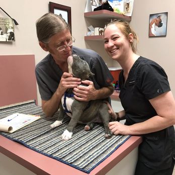 All Pets Medical Centre - Veterinarians Near Me - West Hills, California All Pets Medical Centre - Veterinarians Near Me - West Hills, California