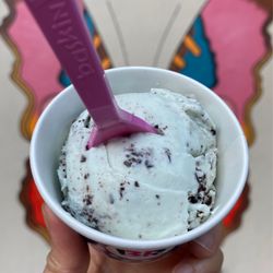 Baskin-Robbins - Mint Chocolate Chip kids scoop