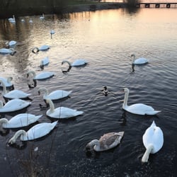 Chasewater Railway, Chasewater Country Park