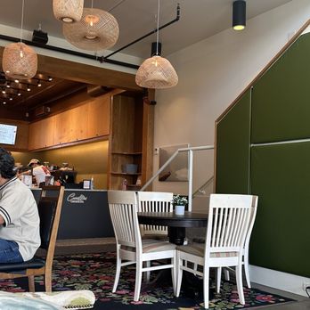 Camellias Bar & Roastery - Inside - Coffee & Tea Near Me - Charlottesville, Virginia