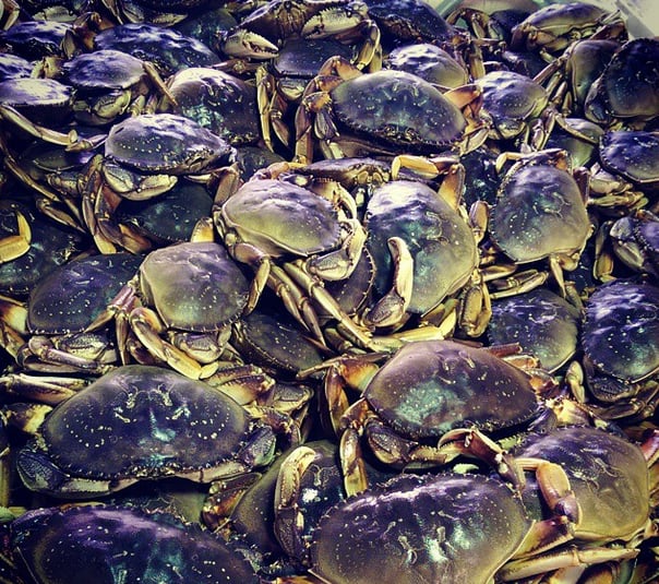 BLUE HERON FISHHOUSE Updated September 2024 378 Bay Center Dike Rd