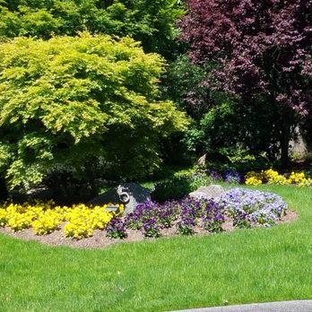 AJR Landscaping - a dog in a flower bed - Landscaping Near Me - New Milford, New Jersey AJR Landscaping - a dog in a flower bed - Landscaping Near Me - New Milford, New Jersey