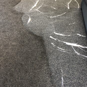 All Purpose Janitorial Service - Carpet cleaning in progress - Office Cleaning Near Me All Purpose Janitorial Service - Carpet cleaning in progress - Office Cleaning Near Me