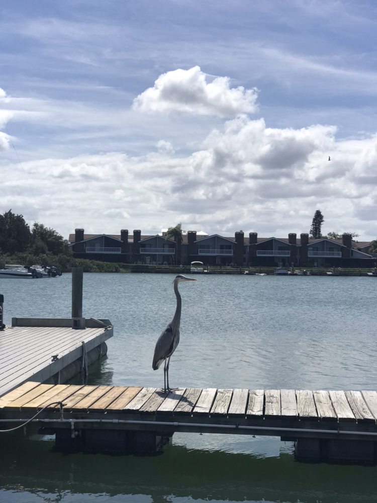 NSB JET SKI 16 Photos Jet Skis 147 Middle Way, New Smyrna Beach