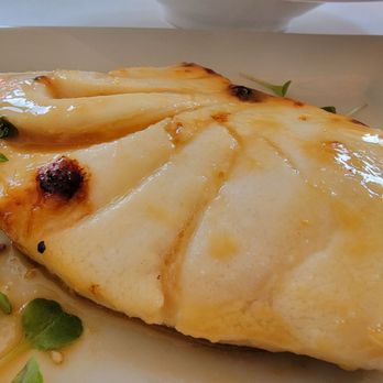 Gindi Thai - Miso cod - Sushi Bars Near Me - Burbank, California Gindi Thai - Miso cod - Sushi Bars Near Me - Burbank, California