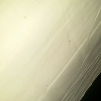 Hyatt Regency Indianapolis - Blood stains on the bed sheet - Hotels Near Me - Indianapolis, Indiana