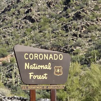 Mt Lemmon - Hiking Near Me