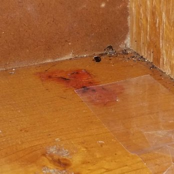 Gar Properties - Roaches - University Housing Near Me - Devon, Pennsylvania Gar Properties - Roaches - University Housing Near Me - Devon, Pennsylvania