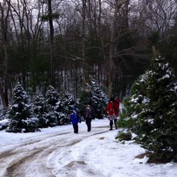 Sleighbell Christmas Tree Farm & Gift Barn