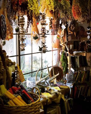 The Coven's Cottage by null