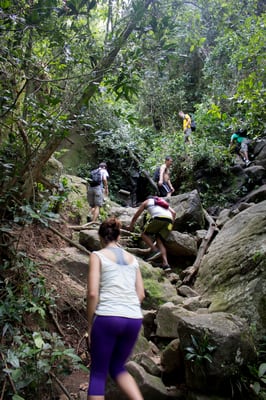 Pedra da Gávea by null