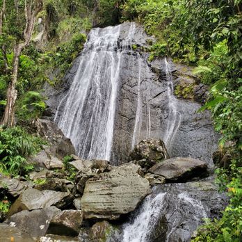 El Yunque Rainforest - Hiking Near Me - Luquillo, Puerto Rico